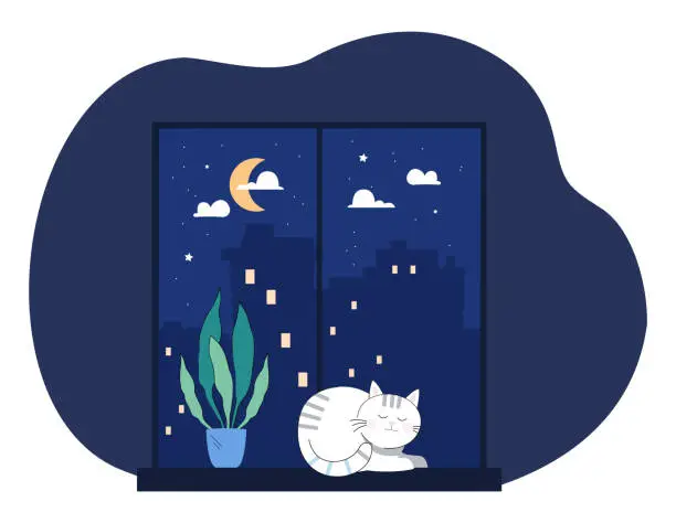 Vector illustration of Pretty cat sleeping on windowsill at night