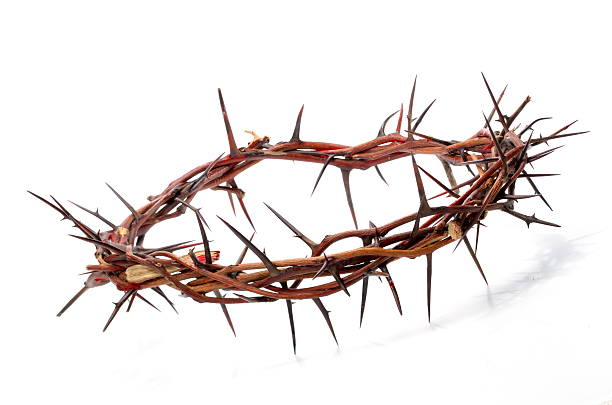 istock crown made of thorns 141250654