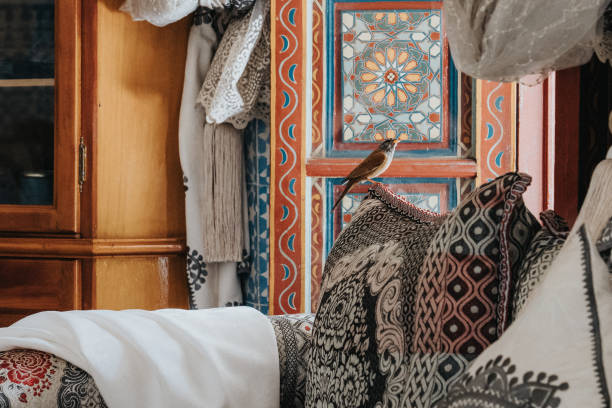 ptak w tradycyjnym domu marrakesz - african tribal culture zdjęcia i obrazy z banku zdjęć