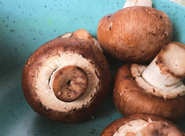 istock Baby Bella Mushrooms 1412513037