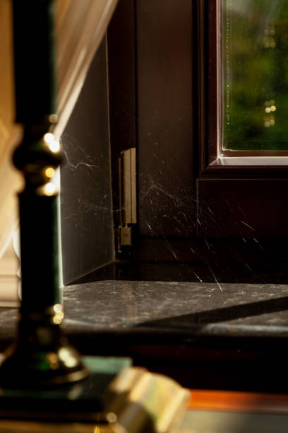 Cobweb in corner of modern window close up silvery spider web glows in the sun in the corner of a modern window and sill. In the foreground is a table lamp arachnology stock pictures, royalty-free photos & images