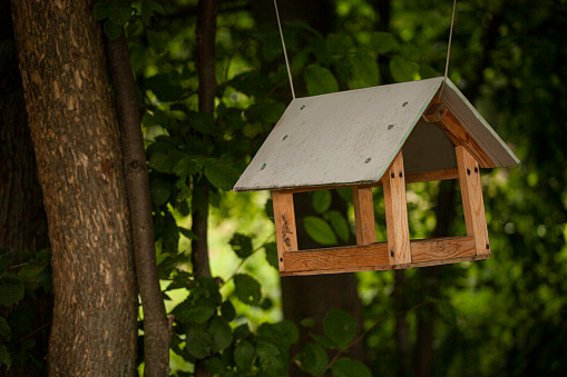 Birdhouses and bird feeder in the forest on a blurry background of greenery. Save birds. Bird feeding.