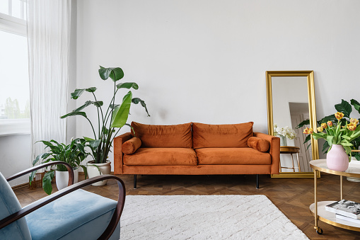 Green potted houseplants close to orange couch. Living room in apartment with interior design in the style of the 60s. Old fashioned furniture in lounge with armchair and sofa against white wall