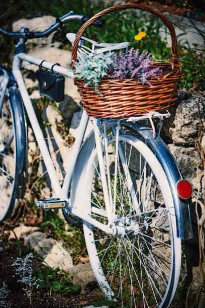 istock White bicycle decorated with basket and colorful flowers in rural setting 1412518938