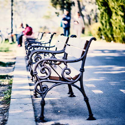 Benches in park  on sunny day