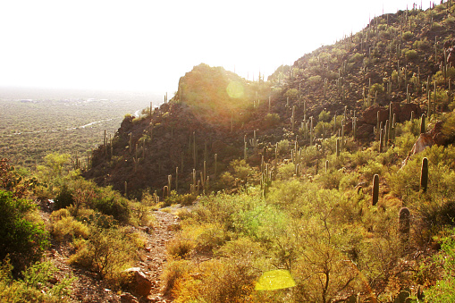 Tucson Arizona Mountains