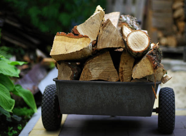 istock Chopped firewood on a wheelbarrow. 1412523829