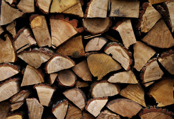 istock Chopped oak firewood stacked in a woodpile. 1412523836