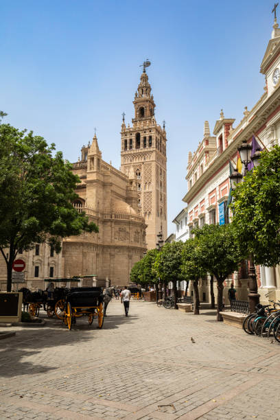 kathedrale von sevilla und glockenturm giralda, sevilla, andalusien, spanien. - seville sevilla santa cruz city stock-fotos und bilder