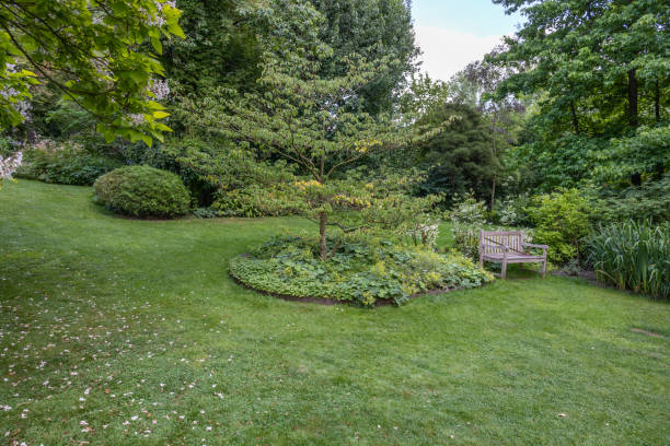 istock English garden type during summer season 1412524989