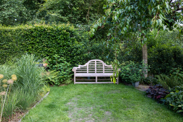 istock English garden type during summer season 1412525643