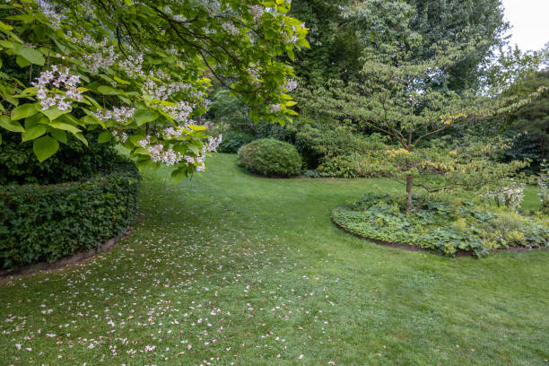 istock English garden type during summer season 1412525651