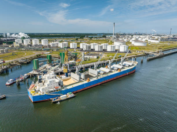 istock Cranes Unloading Cargo from a Bulk Carrier Ship at Port 1412530505