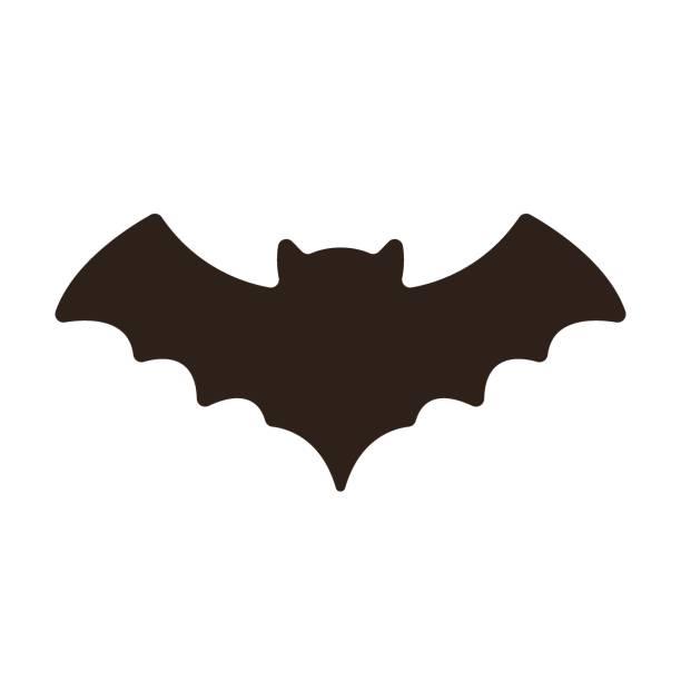 ベクターブラックバットテンプレート - bat vampire silhouette halloween点のイラスト素材／クリップアート素材／マンガ素材／アイコン素材