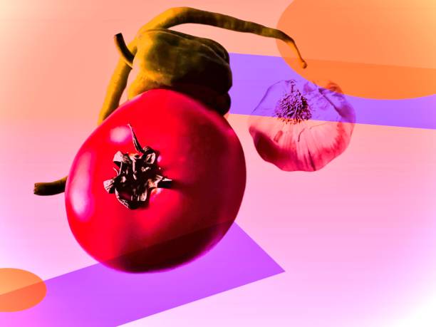 istock vegan food 1412531680