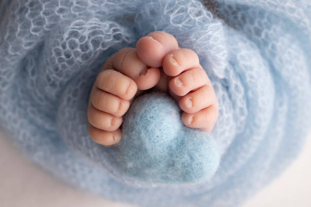 Knitted blue heart in the legs of a baby. Soft feet of a new born in a blue wool blanket. Close-up of toes, heels and feet of a newborn. Macro photography the tiny foot of a newborn baby. corazón azul tejido en las piernas de un bebé. pies suaves de un recién nacido en una manta de lana azul. primer plano de los dedos de los pies, los talones y los pies de un recién nacido. fotografía macro el diminuto pie de un bebé recién nacido.