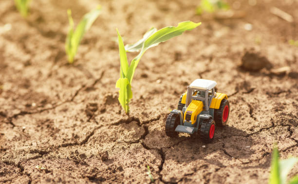 istock Miniature die cast tractor model toy in corn sprout field 1412535826