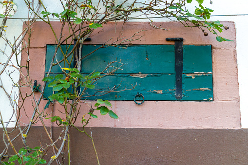 old wooden shutter painted in strong green in front of a cellar window in a german old town