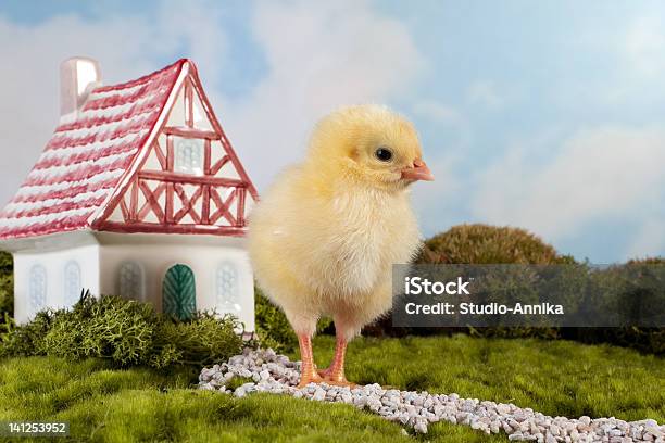 Photo libre de droit de Conte De Fées Chick banque d'images et plus d'images libres de droit de Pâques - Pâques, Maison, Maison de campagne