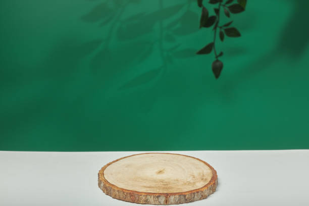 istock blank green background with light shadow nature for natural cosmetic product. Empty scene with green leaves.Organic natural and Beauty skincare concept. 1412541024