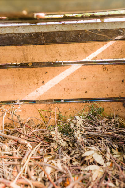 istock Compost organic fertilizer. biodegradable recycling community composing food waste. background. 1412541131
