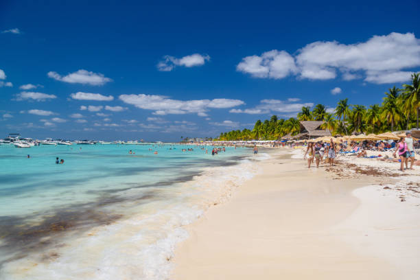 우산, 방갈로 바 및 코코스 야자수, 청록색 카리브해, 이슬라 무헤레스 섬, 카리브해, 칸쿤, 유카탄, 멕시코가있는 하얀 모래 해변 근처에서 수영하는 사람들 - isla mujeres mexico beach color image 뉴스 사진 이미지