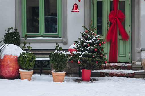 Three green decorative Christmas trees stand in pots on the snow near a store with green doors in Lviv, Ukraine. Winter snow. New Year's Eve and Christmas.