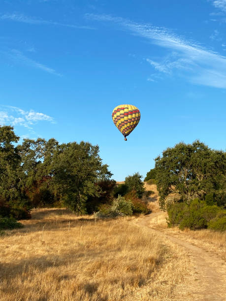 balony na ogrzane powietrze w napa valley, ca - hot air balloon california napa napa valley zdjęcia i obrazy z banku zdjęć