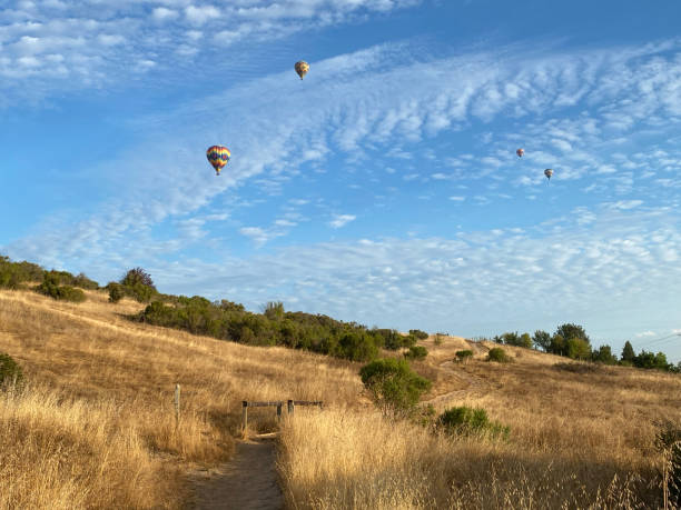 balony na ogrzane powietrze w napa valley, ca - hot air balloon california napa napa valley zdjęcia i obrazy z banku zdjęć