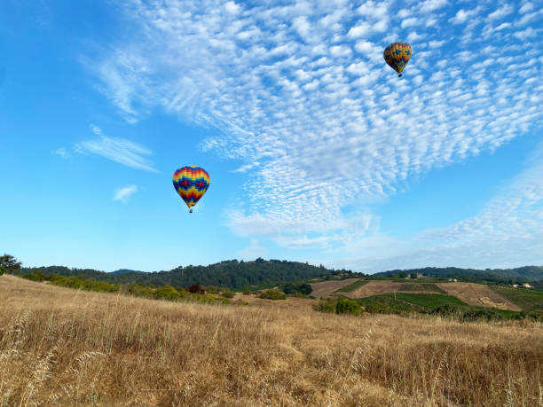 balony na ogrzane powietrze w napa valley, ca - hot air balloon california napa napa valley zdjęcia i obrazy z banku zdjęć