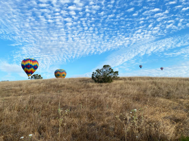 hot air balloons in napa valley, ca - hot air balloon california napa napa valley imagens e fotografias de stock