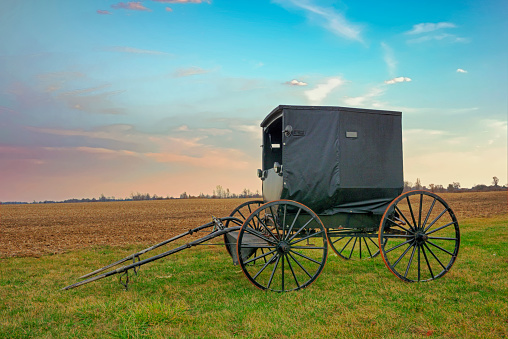 Elmira, Ontario, Canada - July 20, 2012: Old Order Mennonite farmers harvesting wheat using horse drawn farm equipment.