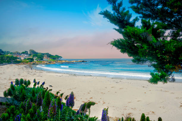 Beach Scene in Morning-Carmel,  California