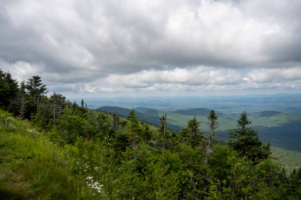 istock Forest on top of the Whiteface mountain 1412557426