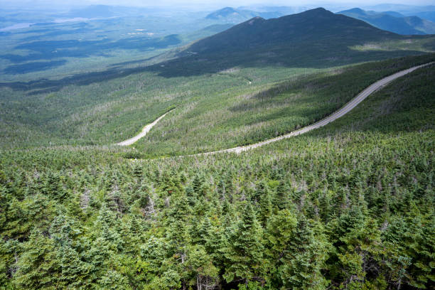istock Forest on top of the Whiteface mountain 1412557483