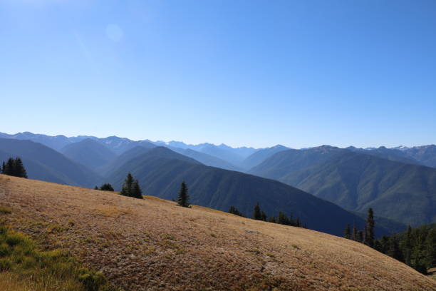 istock Hurricane Ridge in Olympic National Park Washington 1412561110