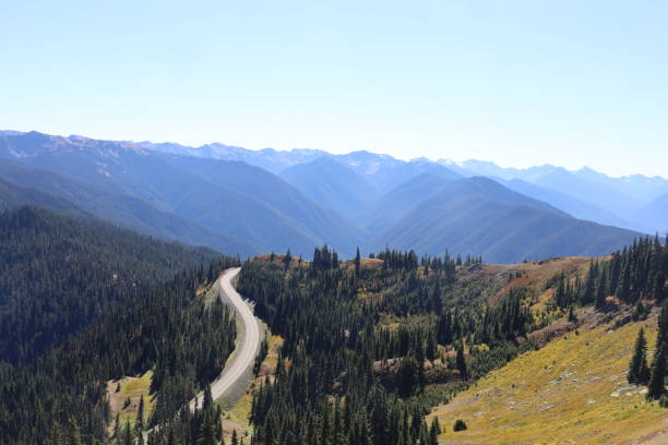 istock Hurricane Ridge in Olympic National Park Washington 1412561111