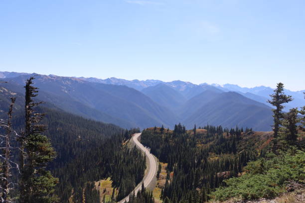 istock Hurricane Ridge in Olympic National Park Washington 1412561133