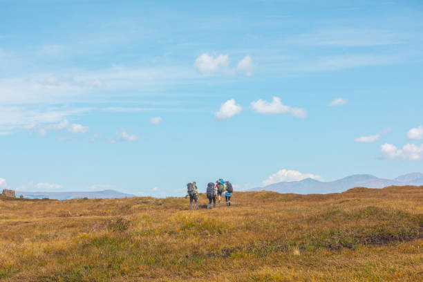 mehrere touristen mit großen rucksäcken und trekkingstöcken folgen der route irgendwo im altai-gebirge. gruppe von menschen mit großen rucksäcken im herbst bergwanderung. russland, republik altai, 26. august 2021 - treking poles stock-fotos und bilder