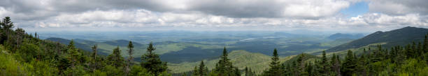 Panoramic view of the forest taken from the summit of Whiteface Panoramic view of the forest taken from the summit of Whiteface in the Adirondacks mountains whiteface mountain stock pictures, royalty-free photos & images