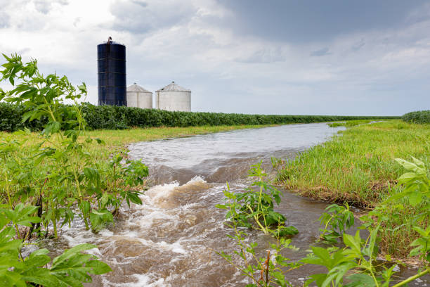 inundação de água da chuva fluindo através da hidrovia do campo agrícola. agricultura, mudança climática e conceito de controle de erosão. - controla da erosão - fotografias e filmes do acervo