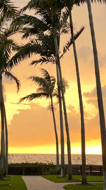 istock BEAUTIFUL SUNSET ON A BEAUTIFUL BEACH 1412565212