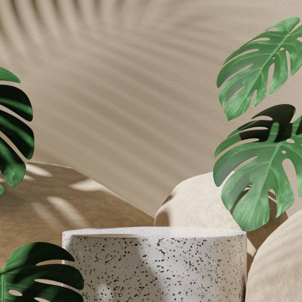 istock Abstract geometric composition with branch and shadow on the wall -3D render, Cosmetic display stand on brown background. 3D rendering 1412566276