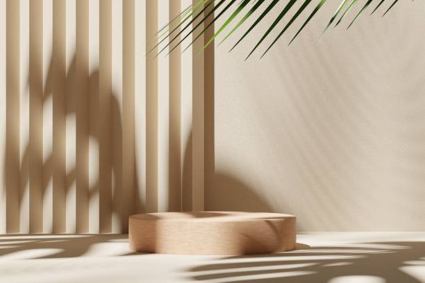 istock Abstract geometric composition with branch and shadow on the wall -3D render, Cosmetic display stand on brown background. 3D rendering 1412566363