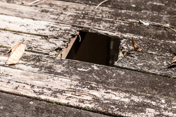 A hole in the wooden board of a 2nd floor deck, posing a hazard. Old and rotten wood planks due to exposure to weather. A hole in the wooden board of a 2nd floor deck, posing a hazard. Old and rotten wood planks due to exposure to weather. floorboard stock pictures, royalty-free photos & images