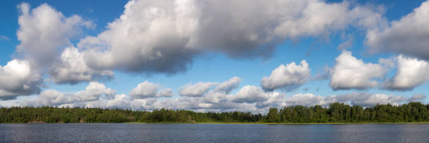 istock panorama of a forest lake 1412577540
