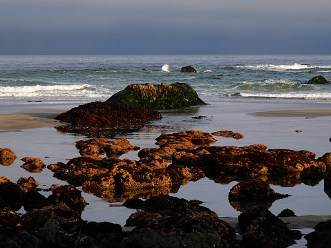 California beach and tide-pools in early morning light.