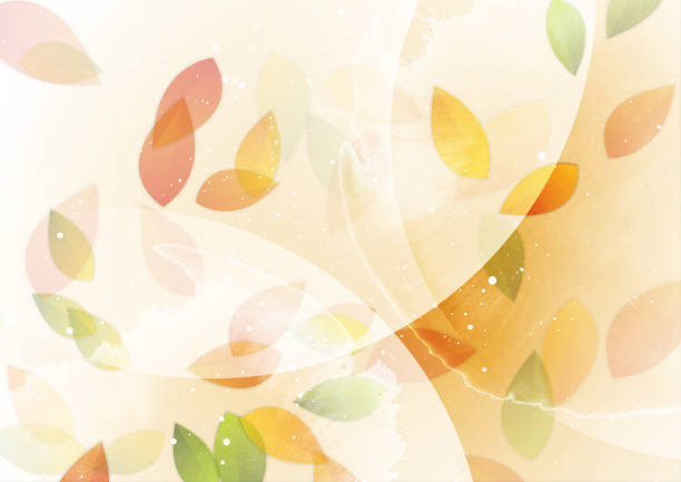 ilustraciones, imágenes clip art, dibujos animados e iconos de stock de textura de mancha de acuarela grunge y hojas de otoño - leaf autumn horizontal backgrounds