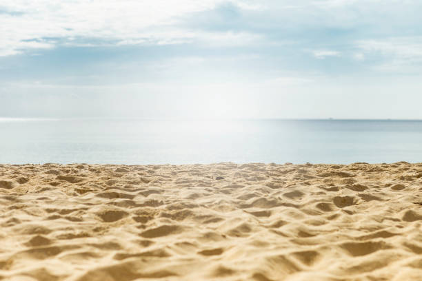 plage de sable brun avec fond marin par temps nuageux - sandy brown photos photos et images de collection