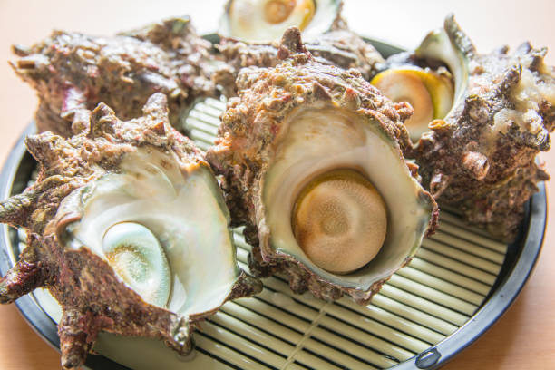 istock Turban shells of barbecue ingredients 1412590147